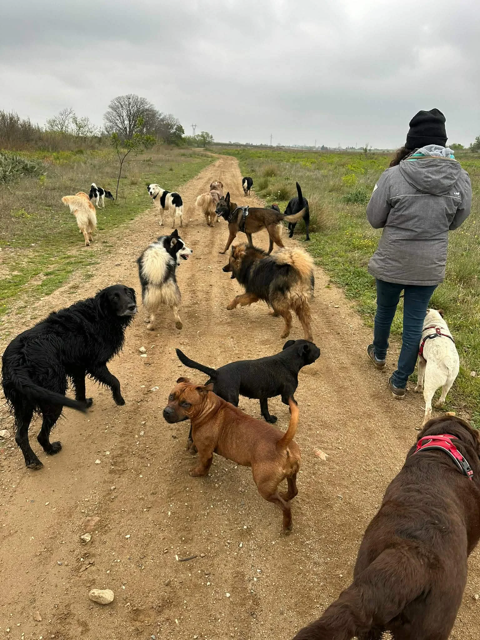 Sortie en sentier